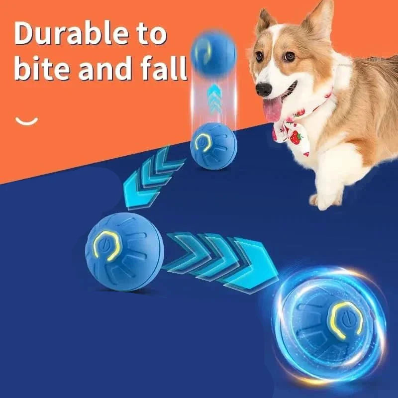 PLAYPET Interactive Dog Ball – Rechargeable Bouncing Ball