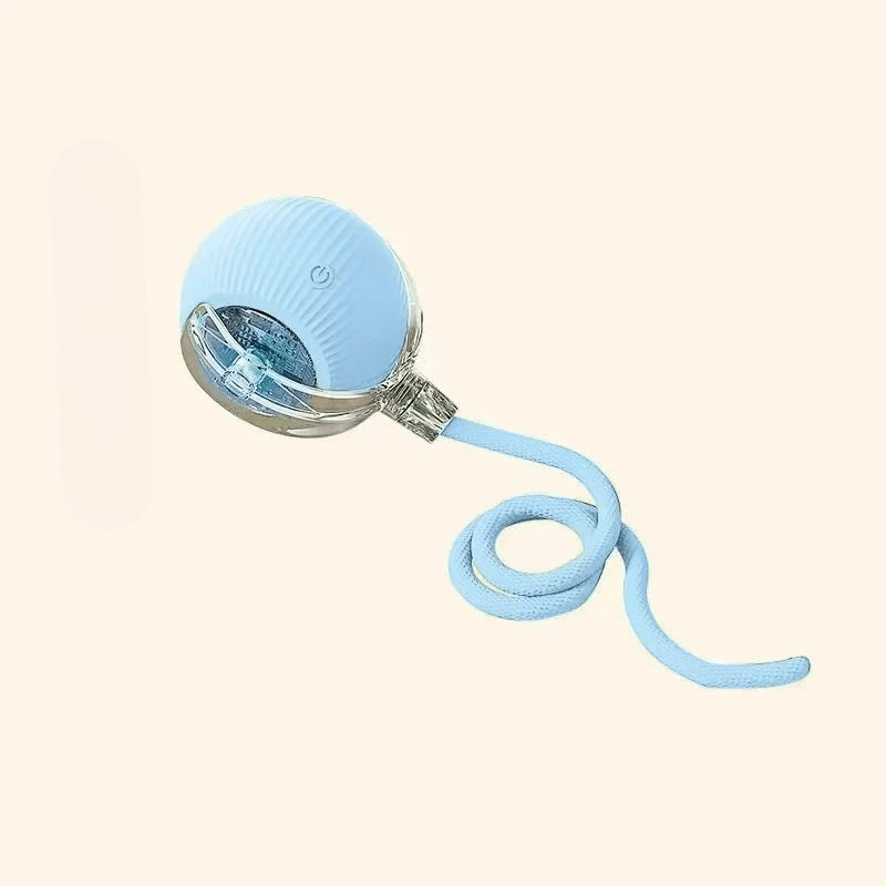 PLAYPET Interactive Dog Ball – Rechargeable Bouncing Ball