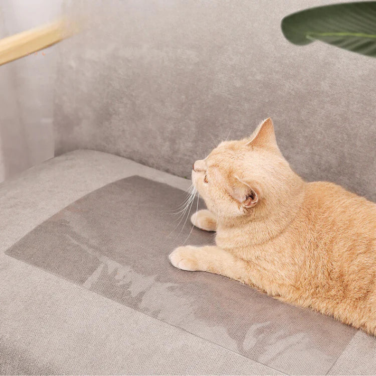 Scratch Protection for Sofa – Preserve Your Furniture, Provide Comfort for Your Cat