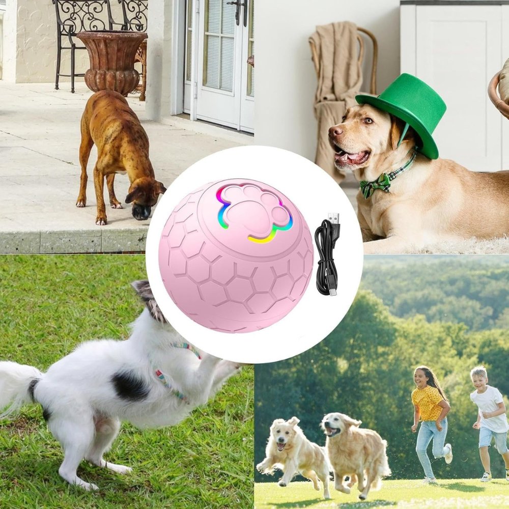 SmartBounce  • Dog Toy Ball
