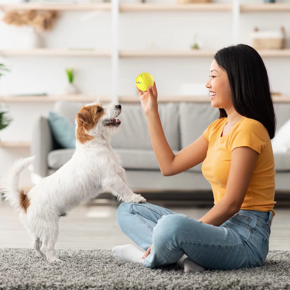 SmartBounce  • Dog Toy Ball